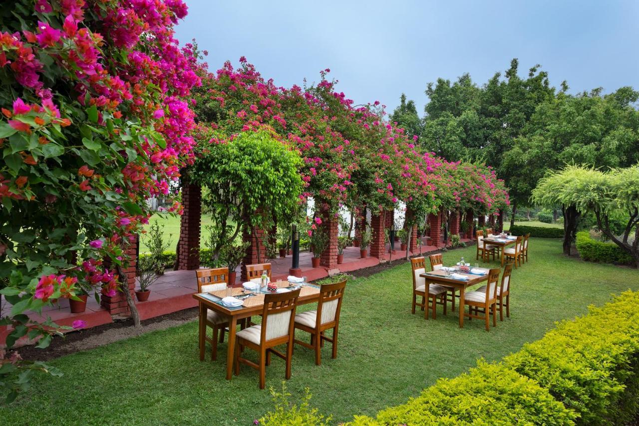 Naturoville Wellness Resort Rishikesh - Surrounded By Nature, Rooted In Wellness Doiwāla Dış mekan fotoğraf